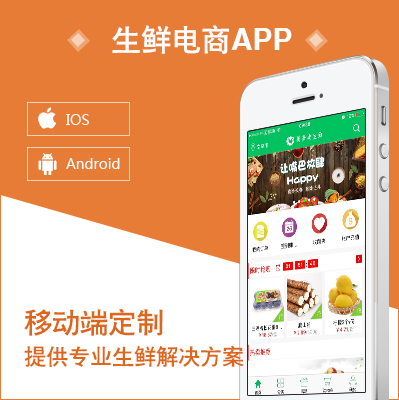 APP開發(fā)